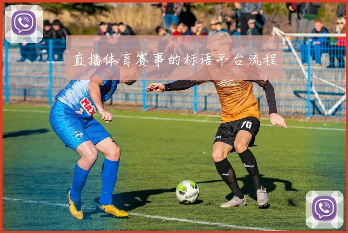 直播体育赛事的标语平台流程