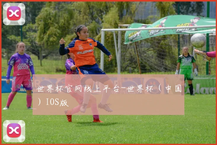 世界杯官网线上平台-世界杯（中国）IOS版