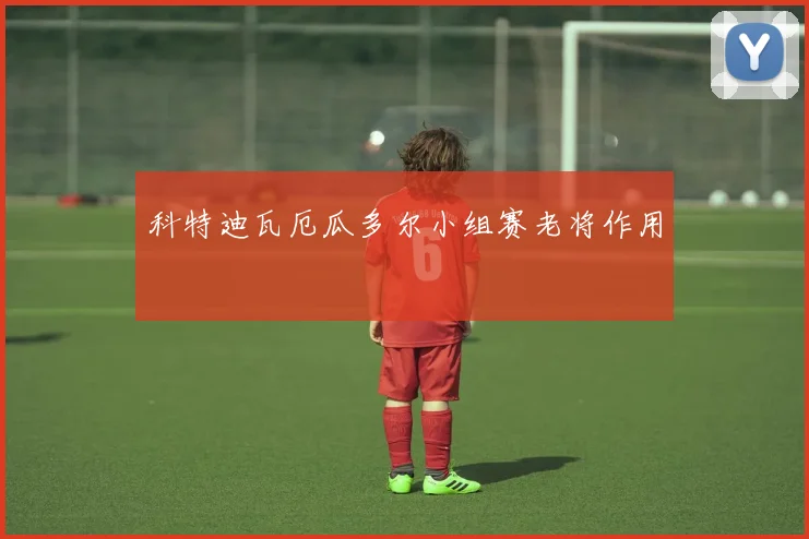 科特迪瓦厄瓜多尔小组赛老将作用