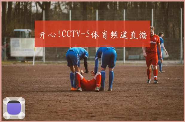 开心!CCTV-5体育频道直播