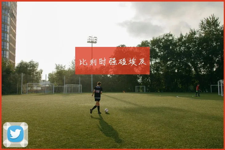 比利时强碰埃及
