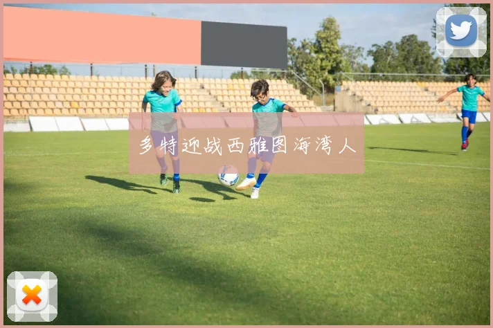 多特迎战西雅图海湾人