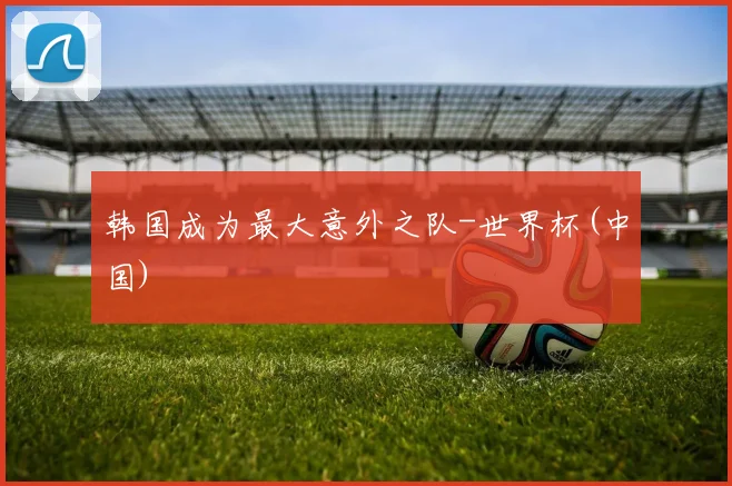 韩国成为最大意外之队-世界杯(中国)