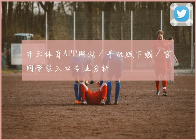 开云体育APP网站／手机版下载／官网登录入口专业分析