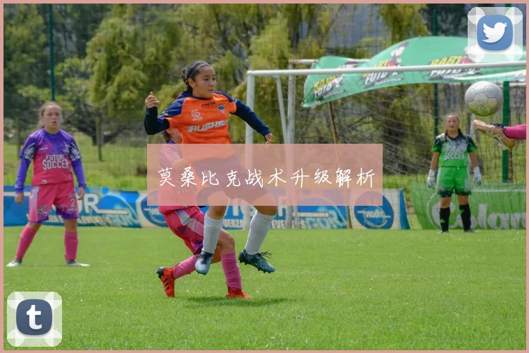 莫桑比克战术升级解析