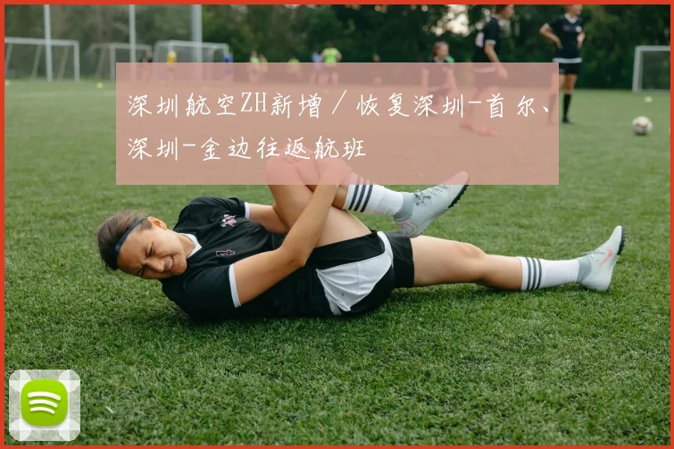 深圳航空ZH新增／恢复深圳-首尔、深圳-金边往返航班