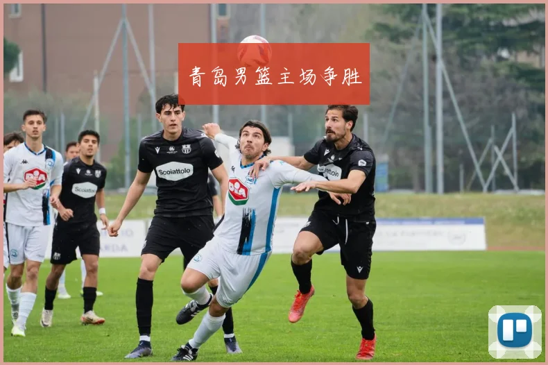 青岛男篮主场争胜