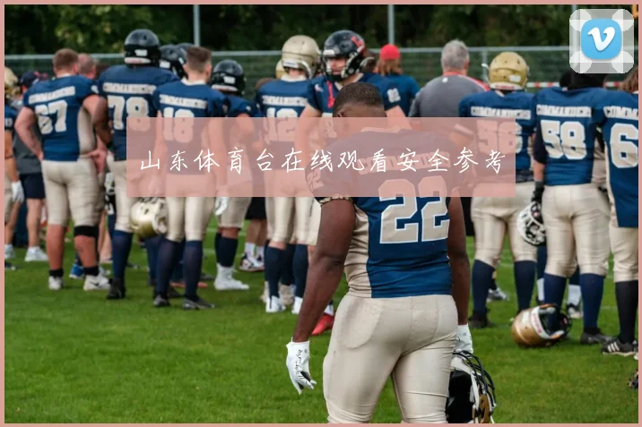 山东体育台在线观看安全参考