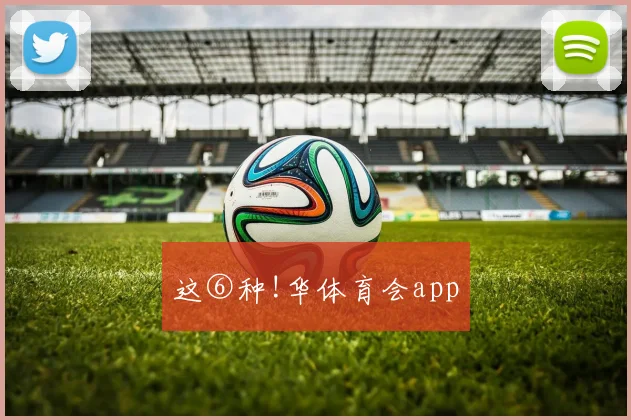 这⑥种!华体育会app