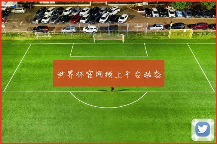 世界杯官网线上平台动态