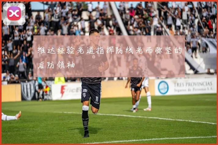 维达经验老道指挥防线老而弥坚的后防领袖