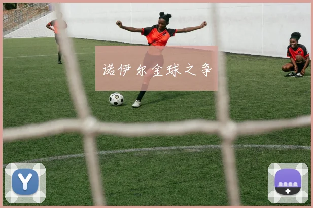 诺伊尔金球之争