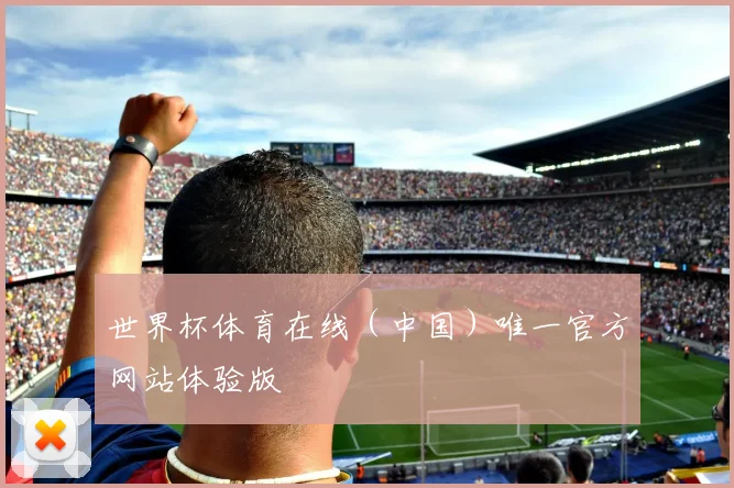 世界杯体育在线（中国）唯一官方网站体验版