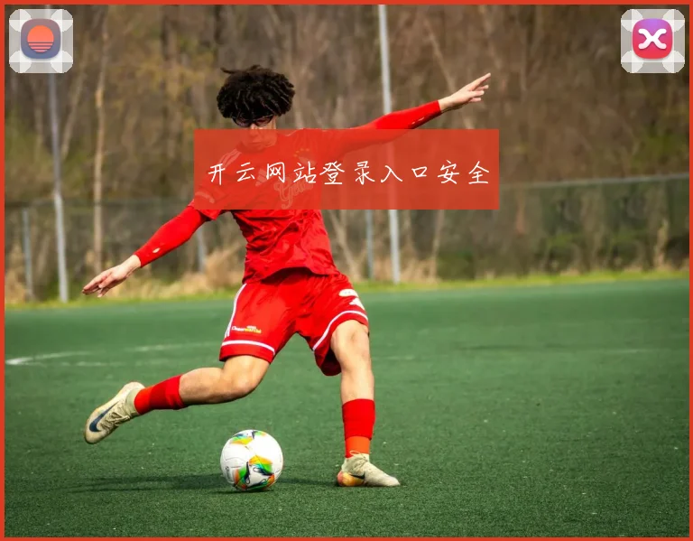 开云网站登录入口安全