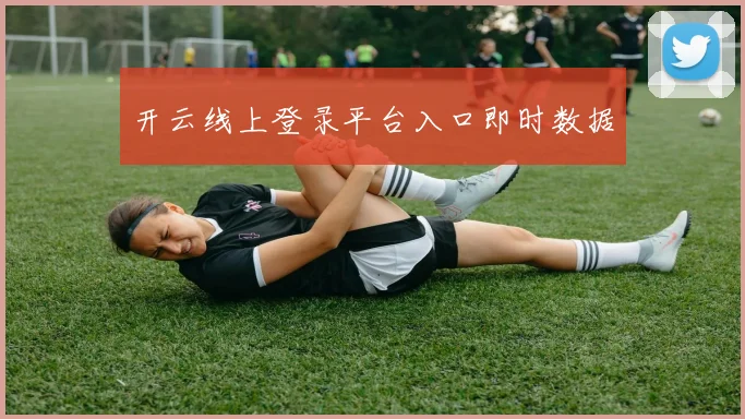 开云线上登录平台入口即时数据