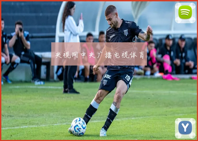 央视网中央广播电视体育