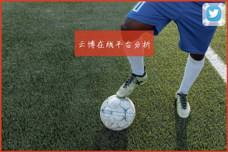 云博在线平台分析