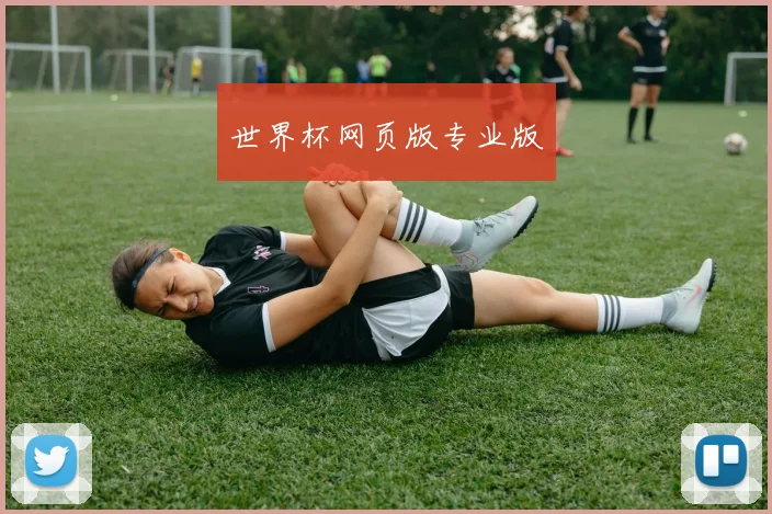 世界杯网页版专业版