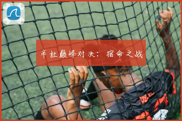 辛杜巅峰对决：宿命之战