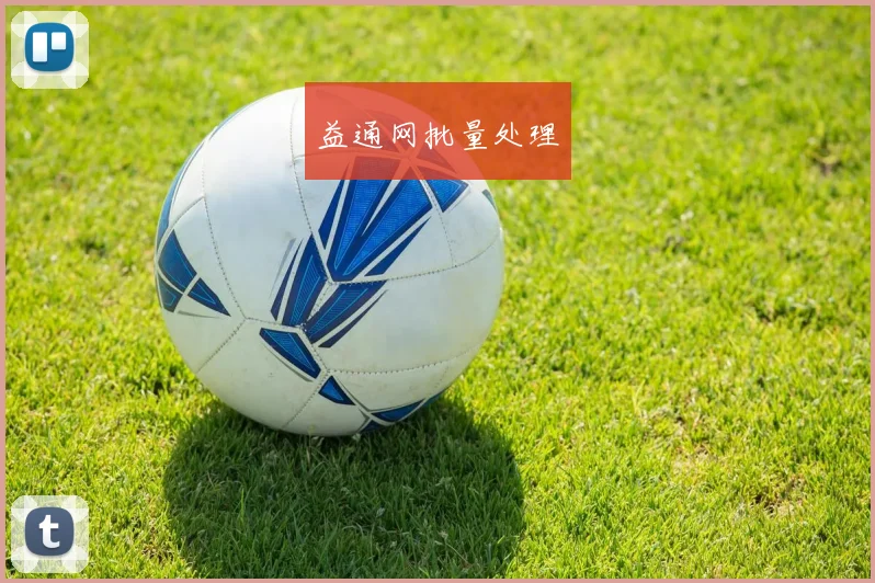 益通网批量处理