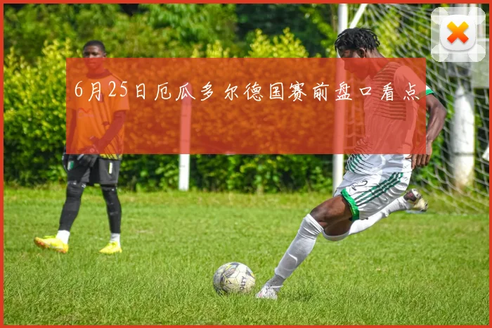 6月25日厄瓜多尔德国赛前盘口看点