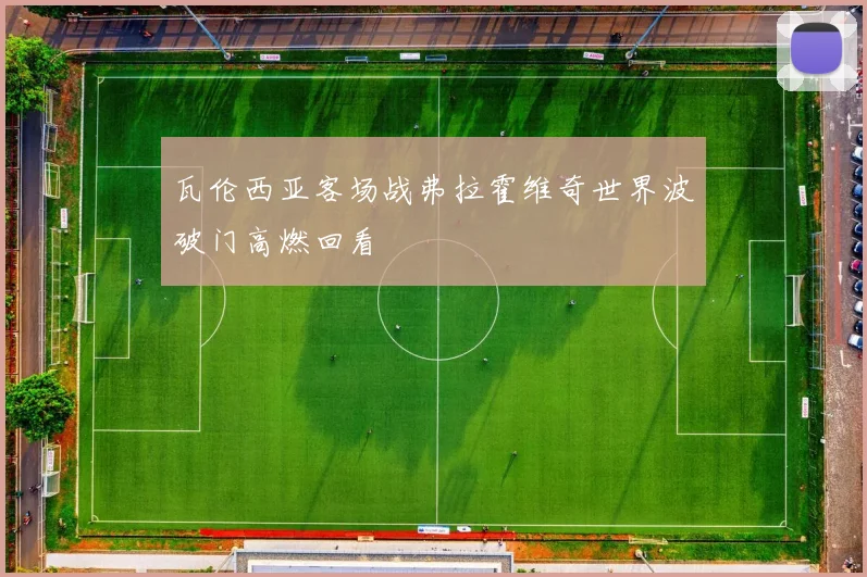 瓦伦西亚客场战弗拉霍维奇世界波破门高燃回看