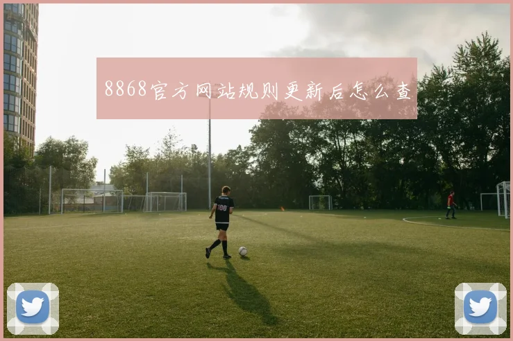 8868官方网站规则更新后怎么查