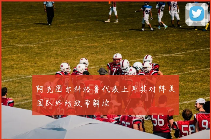 阿克图尔科格鲁代表土耳其对阵美国队终结效率解读
