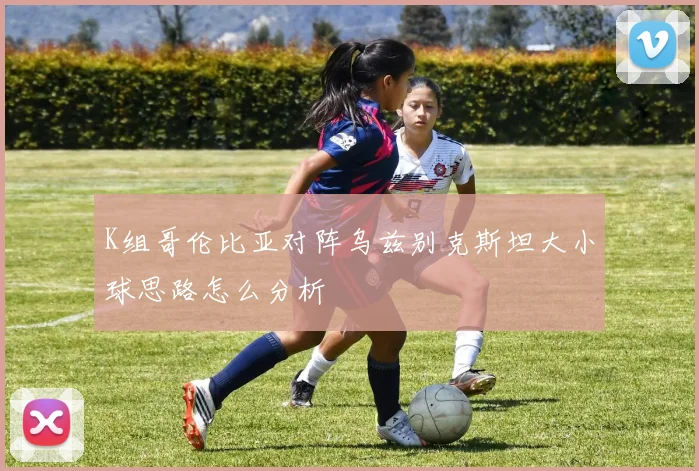 K组哥伦比亚对阵乌兹别克斯坦大小球思路怎么分析